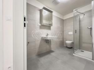 Pronájem bytu 1+kk, Brno - Ponava, Střední, 46 m2