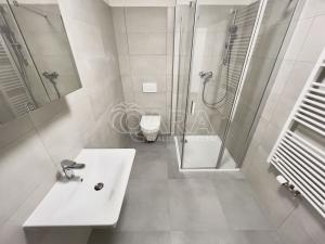 Pronájem bytu 1+kk, Brno - Ponava, Střední, 46 m2