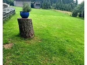 Prodej rodinného domu, Janské Lázně, Janská, 48 m2
