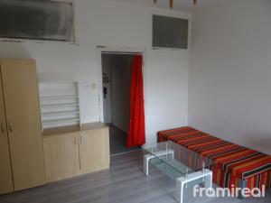 Pronájem bytu 1+kk, Brno, Pekařská, 29 m2