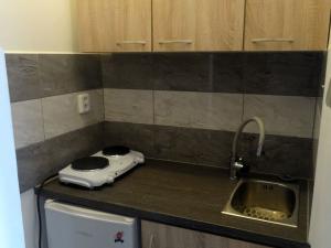 Pronájem bytu 1+kk, Brno, Pekařská, 29 m2