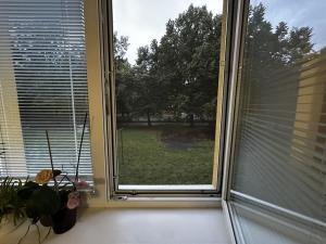 Pronájem bytu 2+1, Praha - Vršovice, Ruská, 68 m2
