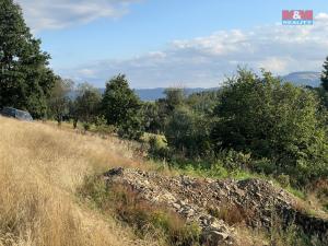 Prodej rodinného domu, Chrastava - Horní Vítkov, 270 m2