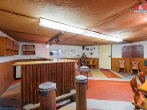 Prodej obchodního prostoru, Okrouhlá, 174 m2