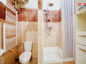 Pronájem bytu 2+kk, Plzeň - Východní Předměstí, Koterovská, 62 m2