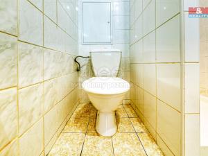 Prodej obchodního prostoru, Písek, Čechova, 53 m2