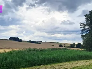 Prodej pole, Líšná, 103172 m2