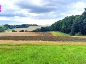 Prodej pole, Líšná, 103172 m2