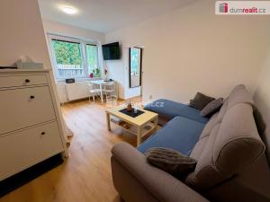 Pronájem bytu 1+1, Kutná Hora - Sedlec, U Koruny, 31 m2