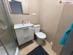 Pronájem bytu 1+1, Kutná Hora - Sedlec, U Koruny, 31 m2