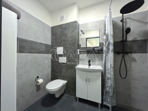 Pronájem bytu 1+1, Město Albrechtice - Hynčice, 32 m2