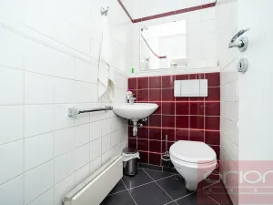 Pronájem bytu 5+kk, Praha - Nové Město, Dřevná, 250 m2
