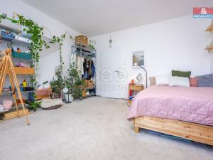 Pronájem bytu 4+1, Olomouc - Nová Ulice, Boženy Němcové, 100 m2