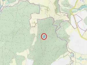 Prodej lesa, Zachotín, 1942 m2