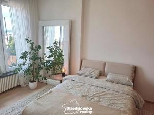 Pronájem bytu 2+kk, Praha - Holešovice, Veverkova, 40 m2