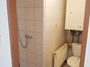 Pronájem bytu 1+kk, Opava - Město, Popská, 27 m2