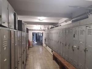 Prodej výrobních prostor, Děčín, Vítězství, 12815 m2
