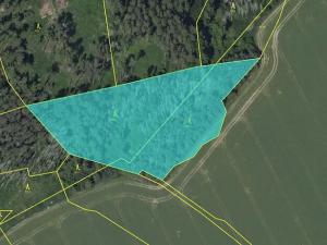 Prodej lesa, Bystřice, 8860 m2