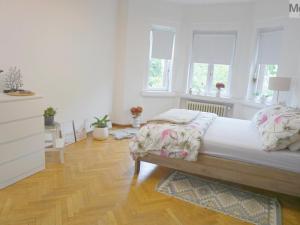Pronájem bytu 5+kk, Most, Jana Žižky, 150 m2