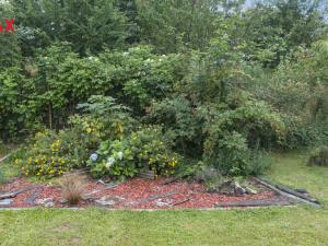 Prodej zahrady, Dvůr Králové nad Labem, 338 m2