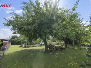 Prodej zahrady, Dvůr Králové nad Labem, 338 m2