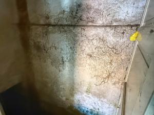 Prodej rodinného domu, Nýřany - Kamenný Újezd, 90 m2