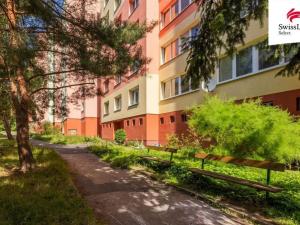 Prodej bytu 1+1, Plzeň, Sokolovská, 38 m2