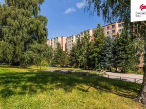 Prodej bytu 1+1, Plzeň, Sokolovská, 38 m2