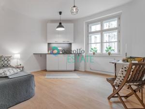 Pronájem bytu 1+kk, Praha, Zelenky-Hajského, 24 m2