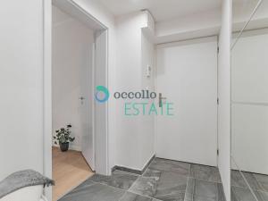 Pronájem bytu 1+kk, Praha, Zelenky-Hajského, 24 m2