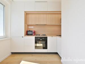 Pronájem bytu 1+1, Brno, Štouračova, 31 m2