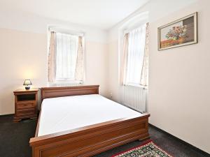 Prodej vícegeneračního domu, Nové Hamry, 560 m2