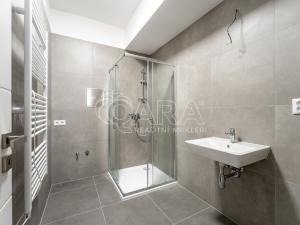 Prodej bytu 3+kk, Brno - Židenice, Bubeníčkova, 80 m2