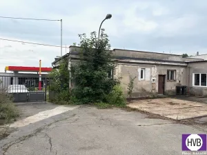 Prodej obchodního prostoru, Jílové u Prahy - Radlík, 159 m2