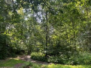 Prodej lesa, Mírová pod Kozákovem - Sekerkovy Loučky, 5461 m2