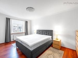 Pronájem bytu 5+kk, Praha - Nové Město, Dřevná, 250 m2