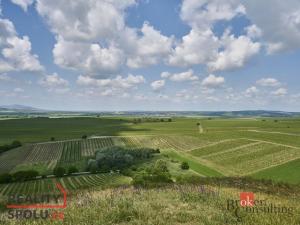 Prodej rodinného domu, Velké Bílovice, Rulandová, 70 m2
