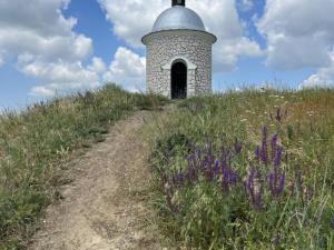 Prodej rodinného domu, Velké Bílovice, Rulandová, 70 m2