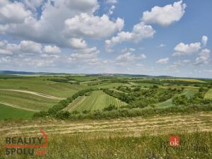 Prodej rodinného domu, Velké Bílovice, Rulandová, 70 m2