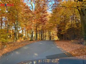 Prodej rodinného domu, Vyžlovka, K Hájovně, 208 m2