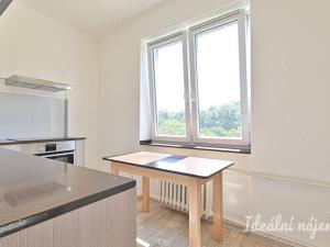 Pronájem bytu 1+1, Nížkovice, 35 m2