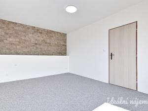 Pronájem bytu 1+1, Nížkovice, 35 m2