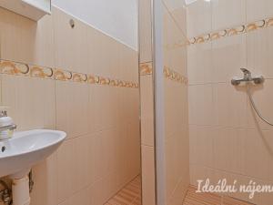 Pronájem bytu 1+1, Nížkovice, 35 m2