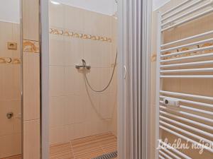 Pronájem bytu 1+1, Nížkovice, 35 m2