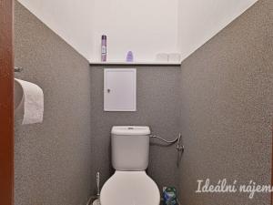 Pronájem bytu 1+1, Nížkovice, 35 m2