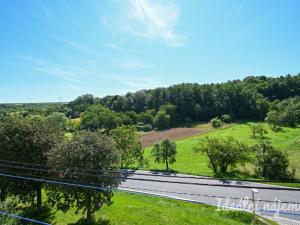 Pronájem bytu 1+1, Nížkovice, 35 m2