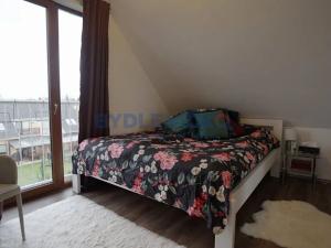Pronájem rodinného domu, České Budějovice, Pod Drahou, 250 m2