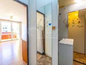 Pronájem bytu 1+kk, Kaplice, Na Vyhlídce, 24 m2