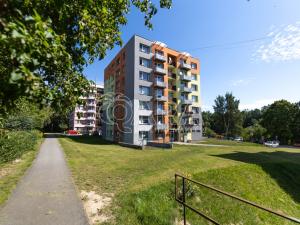 Pronájem bytu 1+kk, Kaplice, Na Vyhlídce, 24 m2