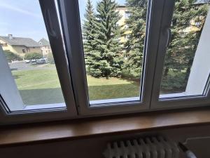 Prodej bytu 2+1, Františkovy Lázně, Otakara Březiny, 51 m2